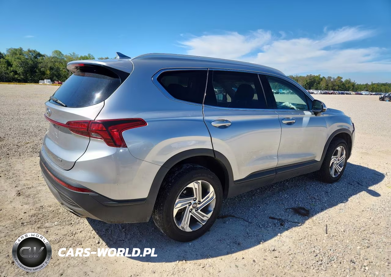 2023 Hyundai Santa Fe Sel VIN:5NMS2DAJ3PH538929 - 3