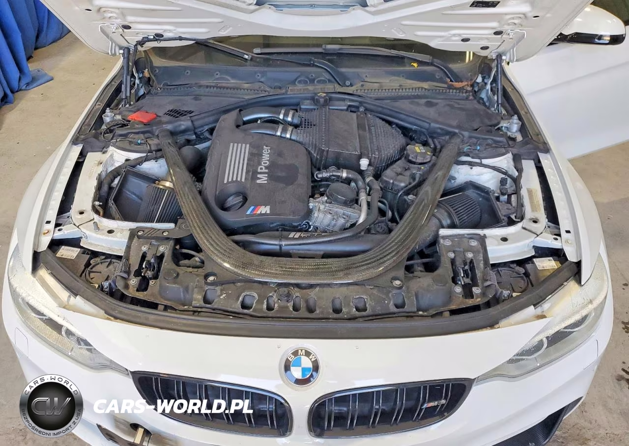 2016 BMW M3 VIN:WBS8M9C51G5D30225 - 11