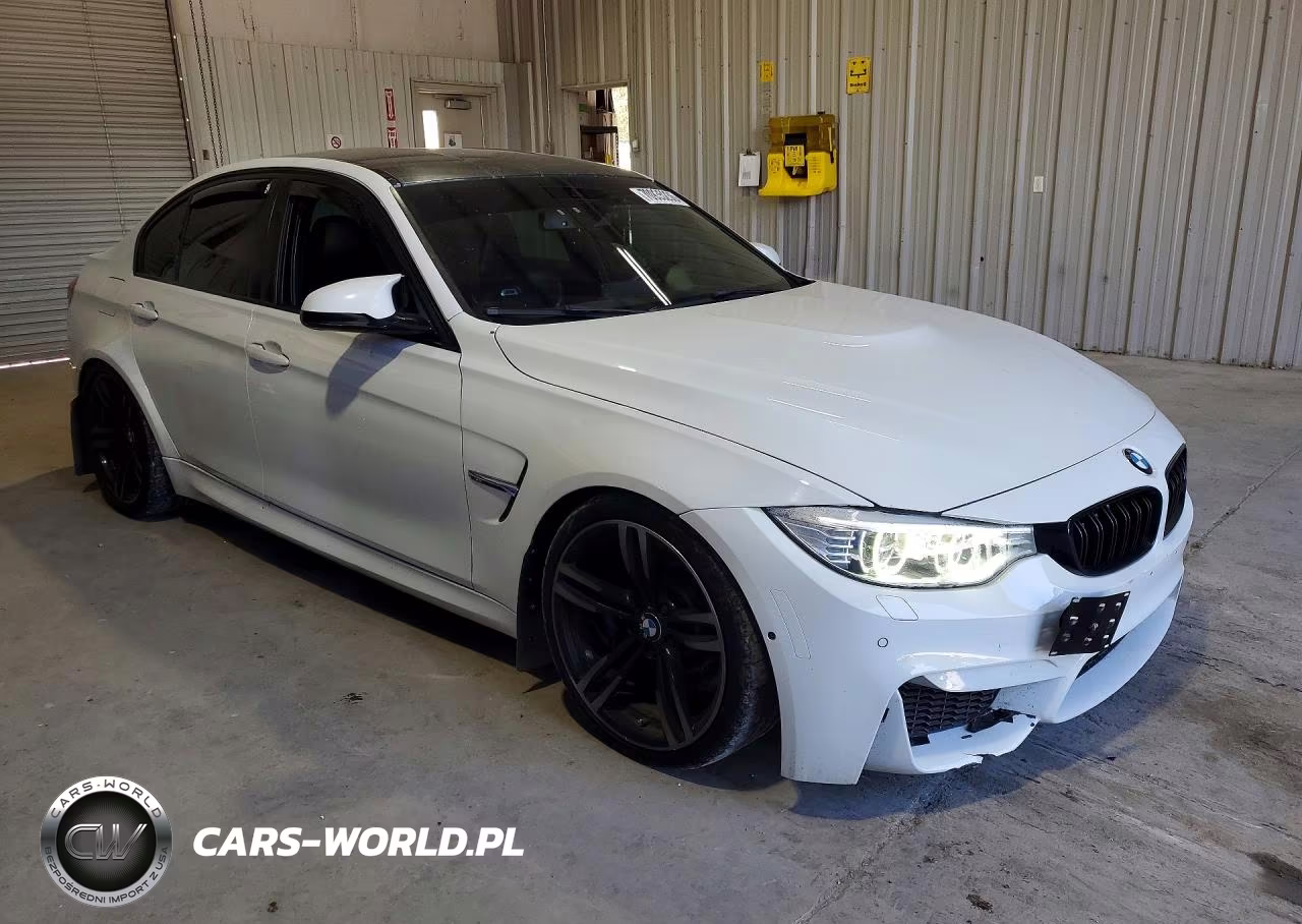2016 BMW M3 VIN:WBS8M9C51G5D30225 - 4