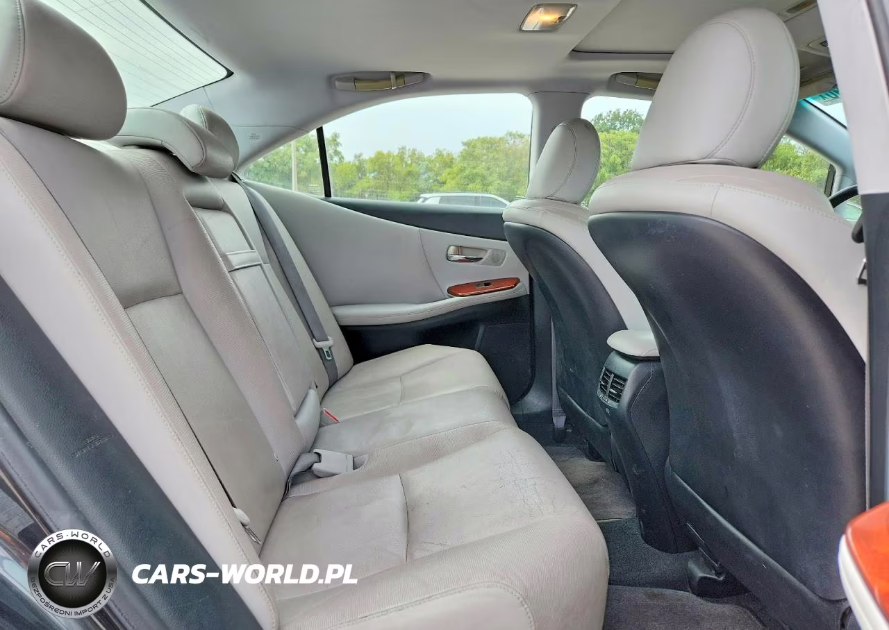 2010 Lexus Hs 250H VIN:JTHBB1BA2A2020172 - 10