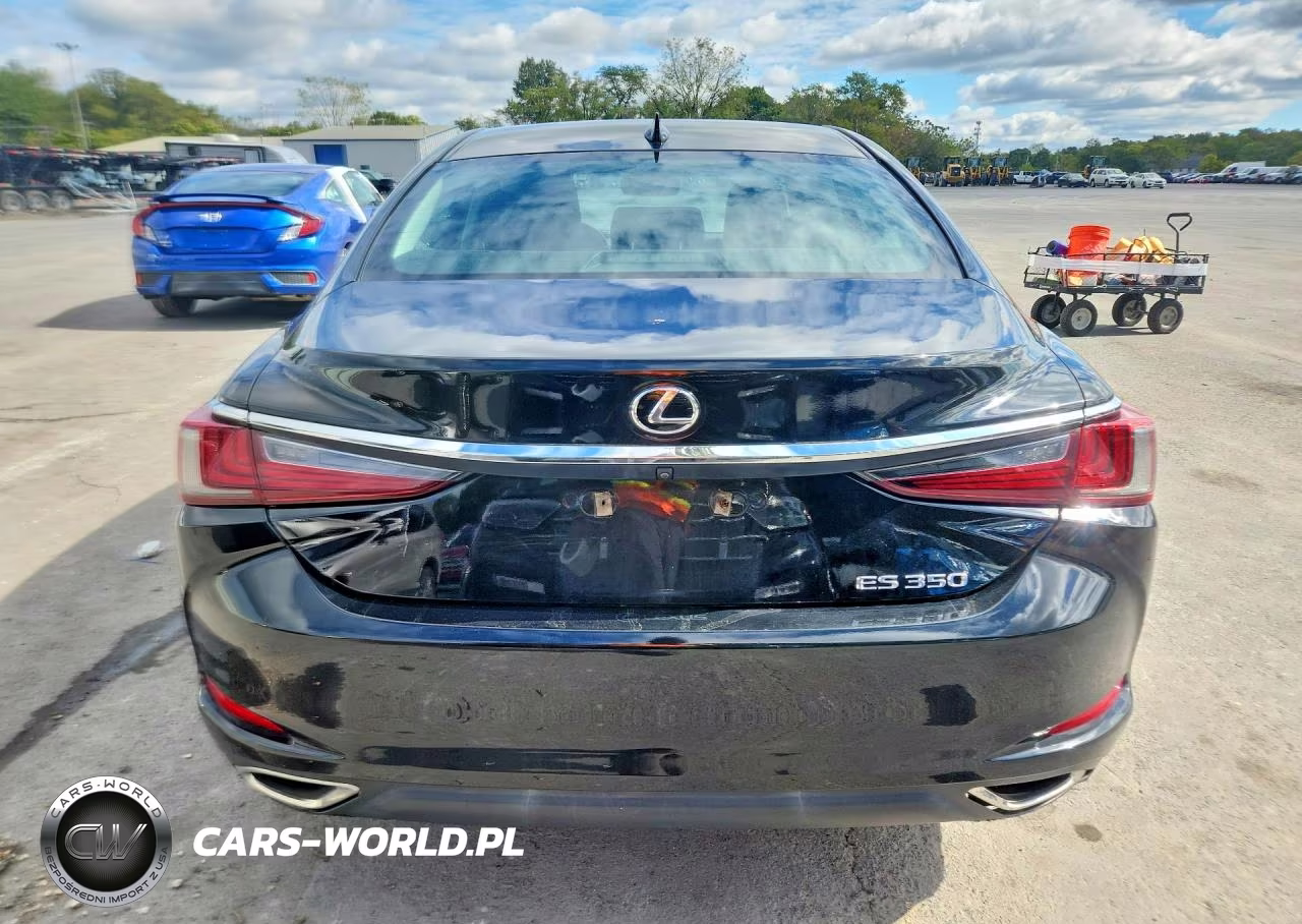 2019 Lexus Es 350 VIN:58ABZ1B14KU048210 - 6