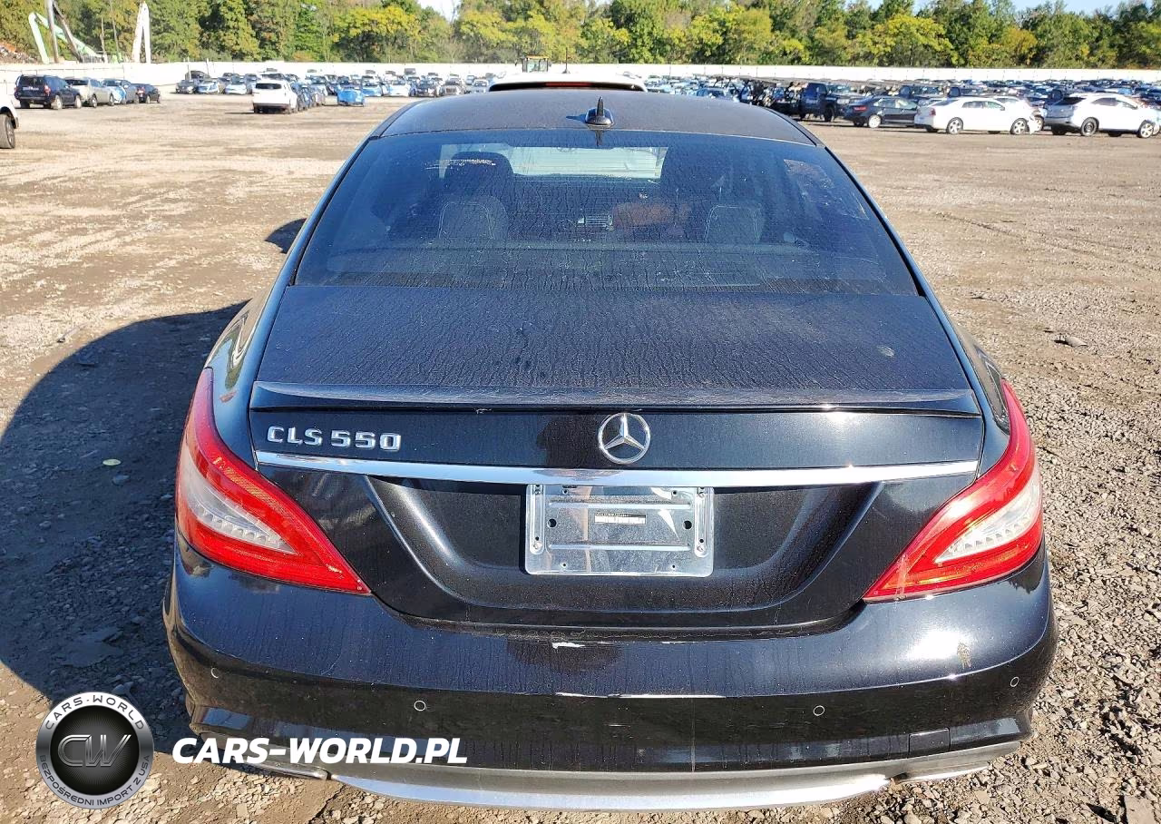 2014 Mercedes-Benz Cls 550 VIN:WDDLJ7DB5EA096844 - 6