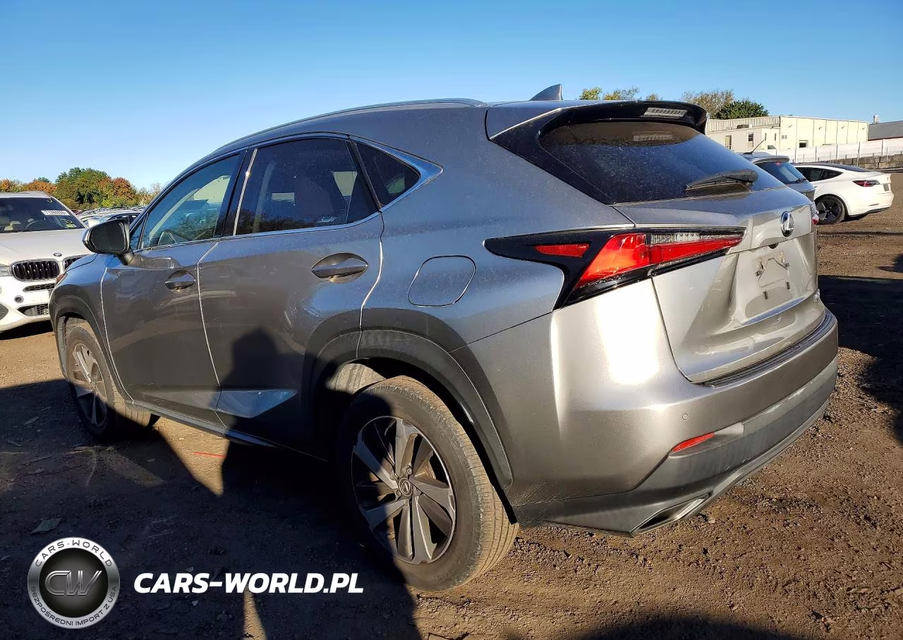 2019 Lexus Nx Base VIN:JTJBARBZ6K2186072 - 2