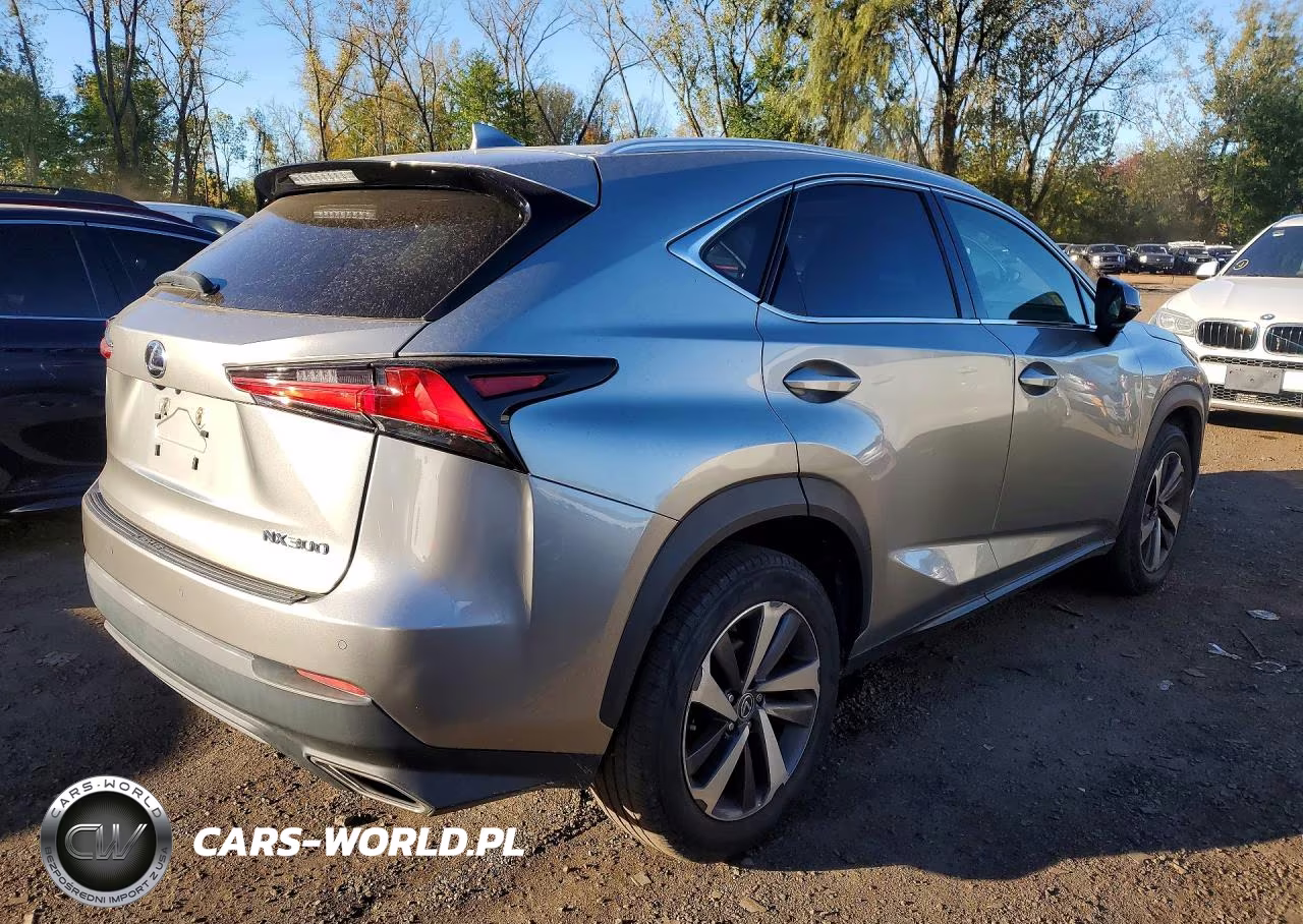 2019 Lexus Nx Base VIN:JTJBARBZ6K2186072 - 3
