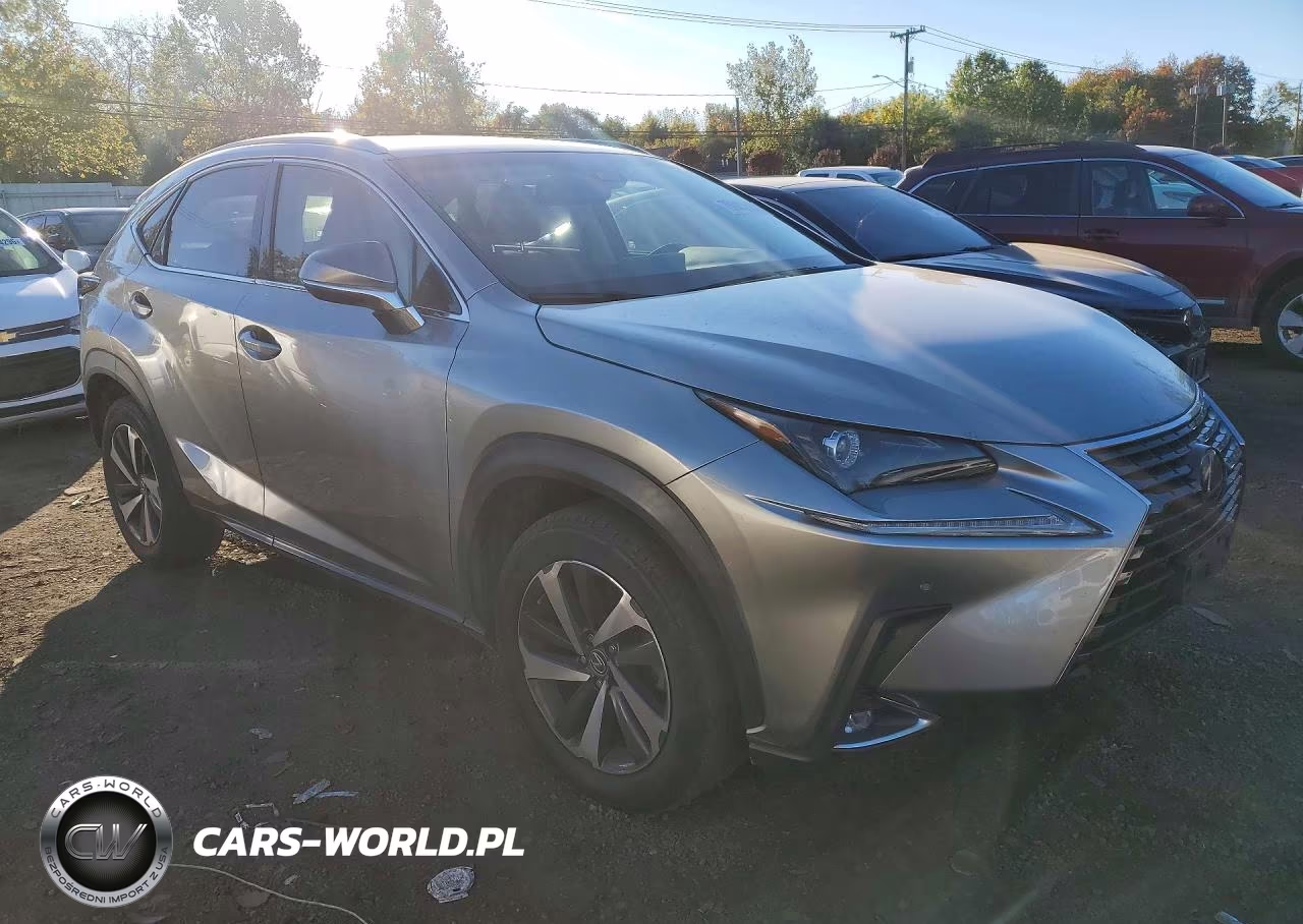 2019 Lexus Nx Base VIN:JTJBARBZ6K2186072 - 4