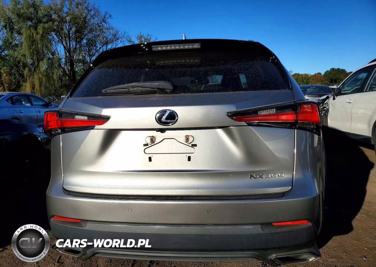 2019 Lexus Nx Base VIN:JTJBARBZ6K2186072 - 6
