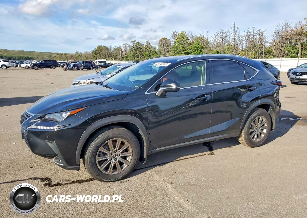 2020 Lexus Nx 300