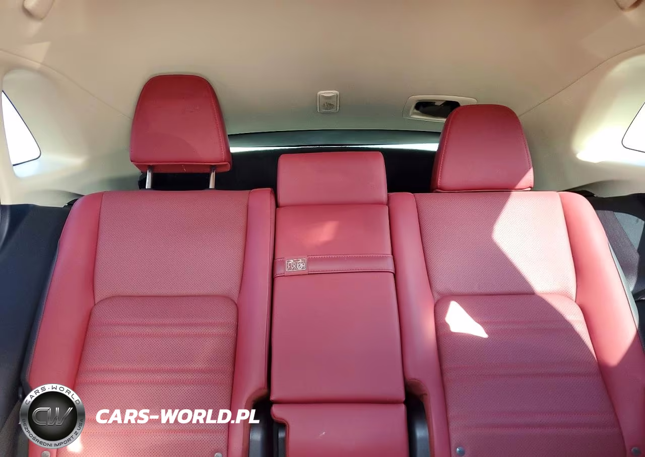2020 Lexus Nx 300 VIN:JTJDARDZ3L5004608 - 10