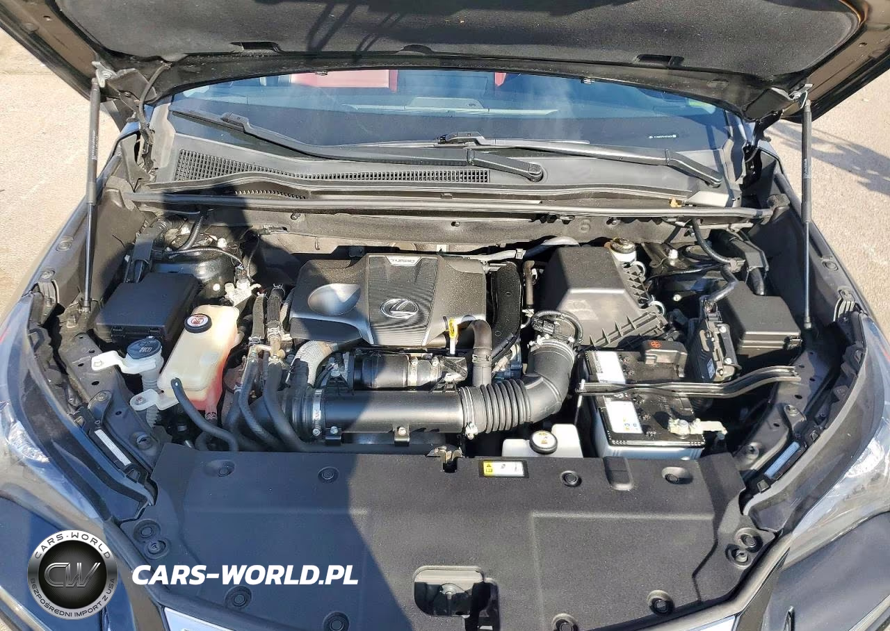 2020 Lexus Nx 300 VIN:JTJDARDZ3L5004608 - 12