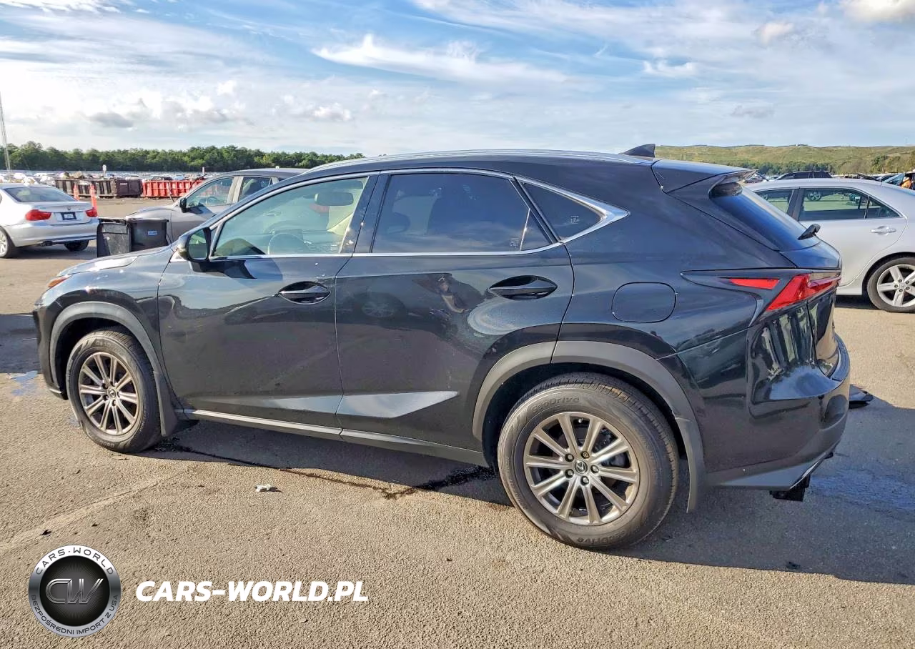2020 Lexus Nx 300 VIN:JTJDARDZ3L5004608 - 2