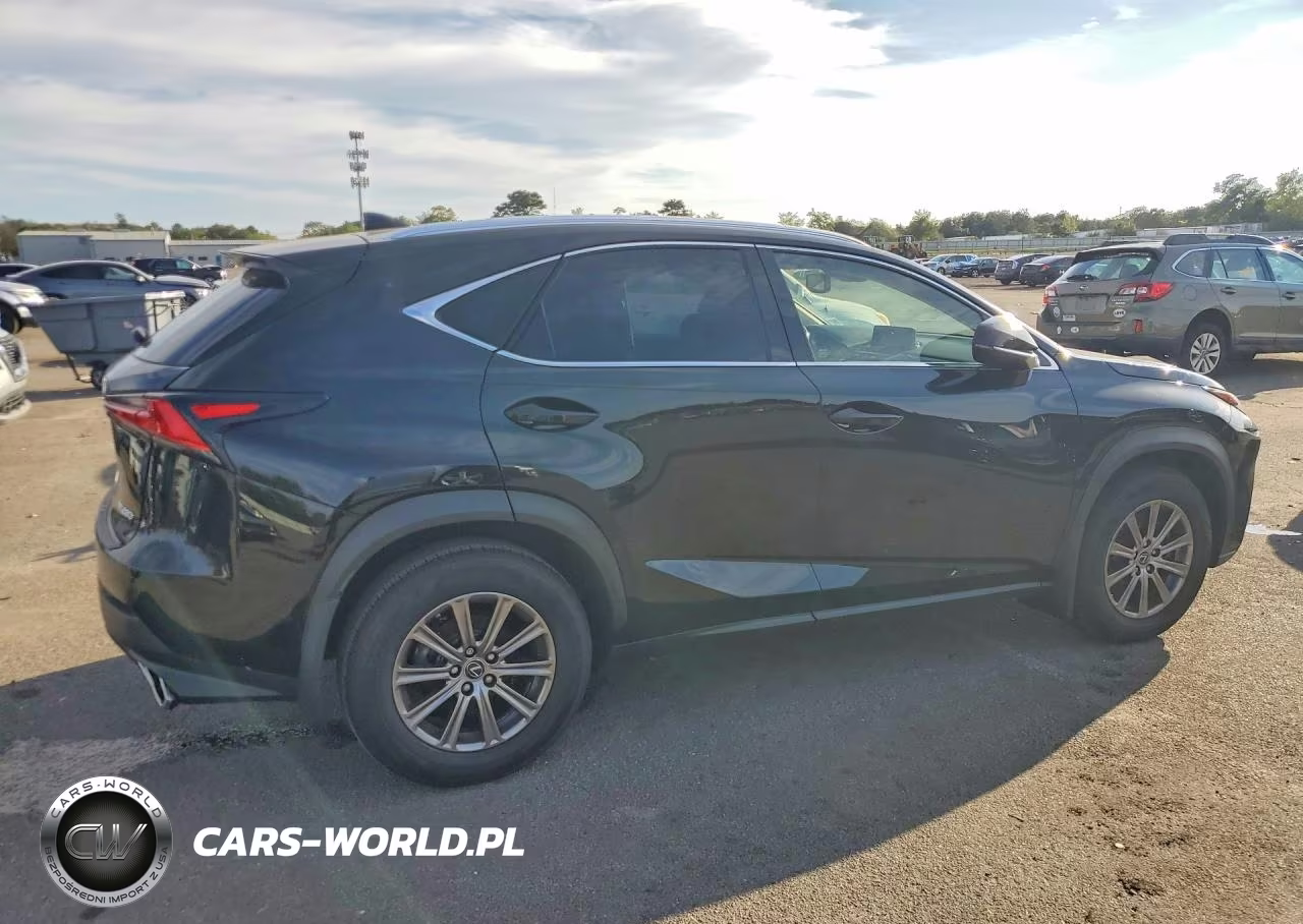2020 Lexus Nx 300 VIN:JTJDARDZ3L5004608 - 3