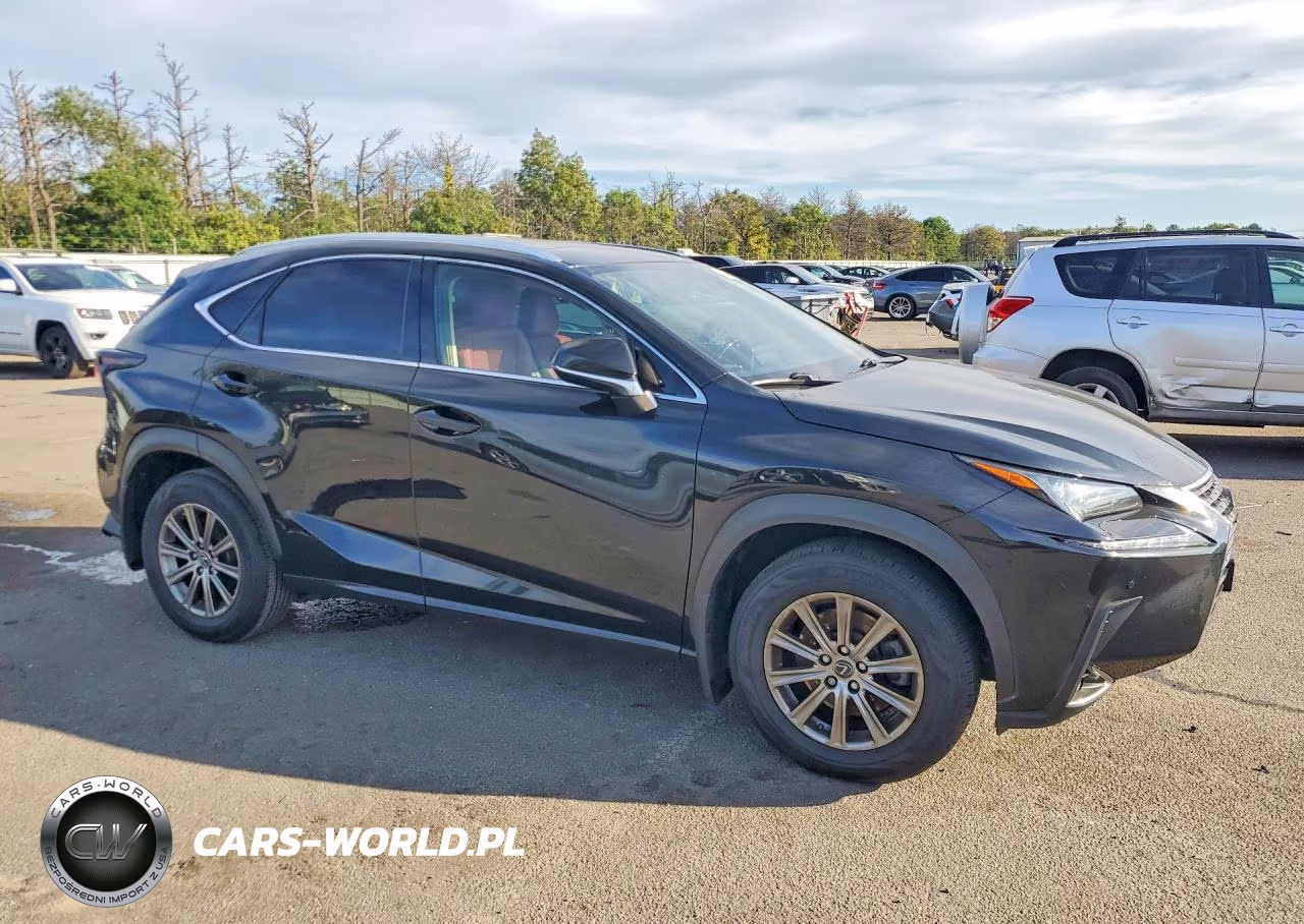 2020 Lexus Nx 300 VIN:JTJDARDZ3L5004608 - 4