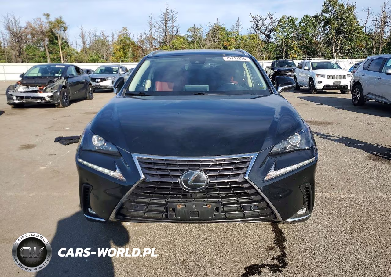 2020 Lexus Nx 300 VIN:JTJDARDZ3L5004608 - 5