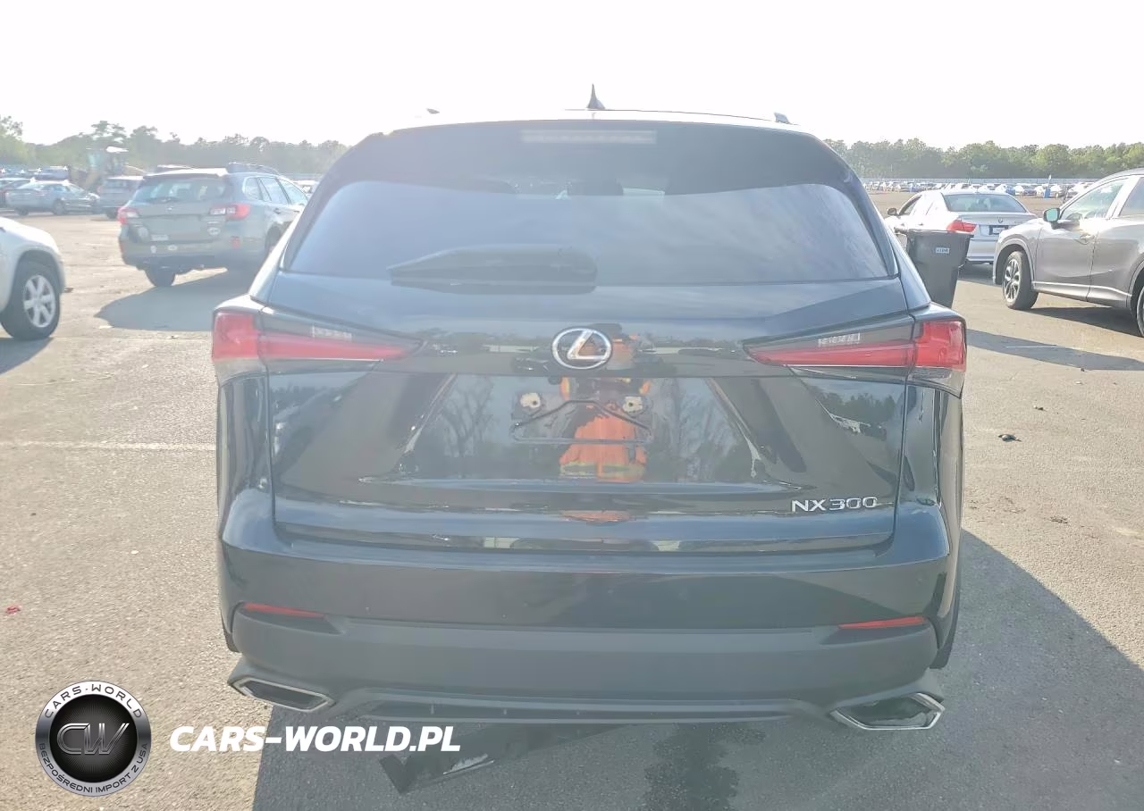 2020 Lexus Nx 300 VIN:JTJDARDZ3L5004608 - 6
