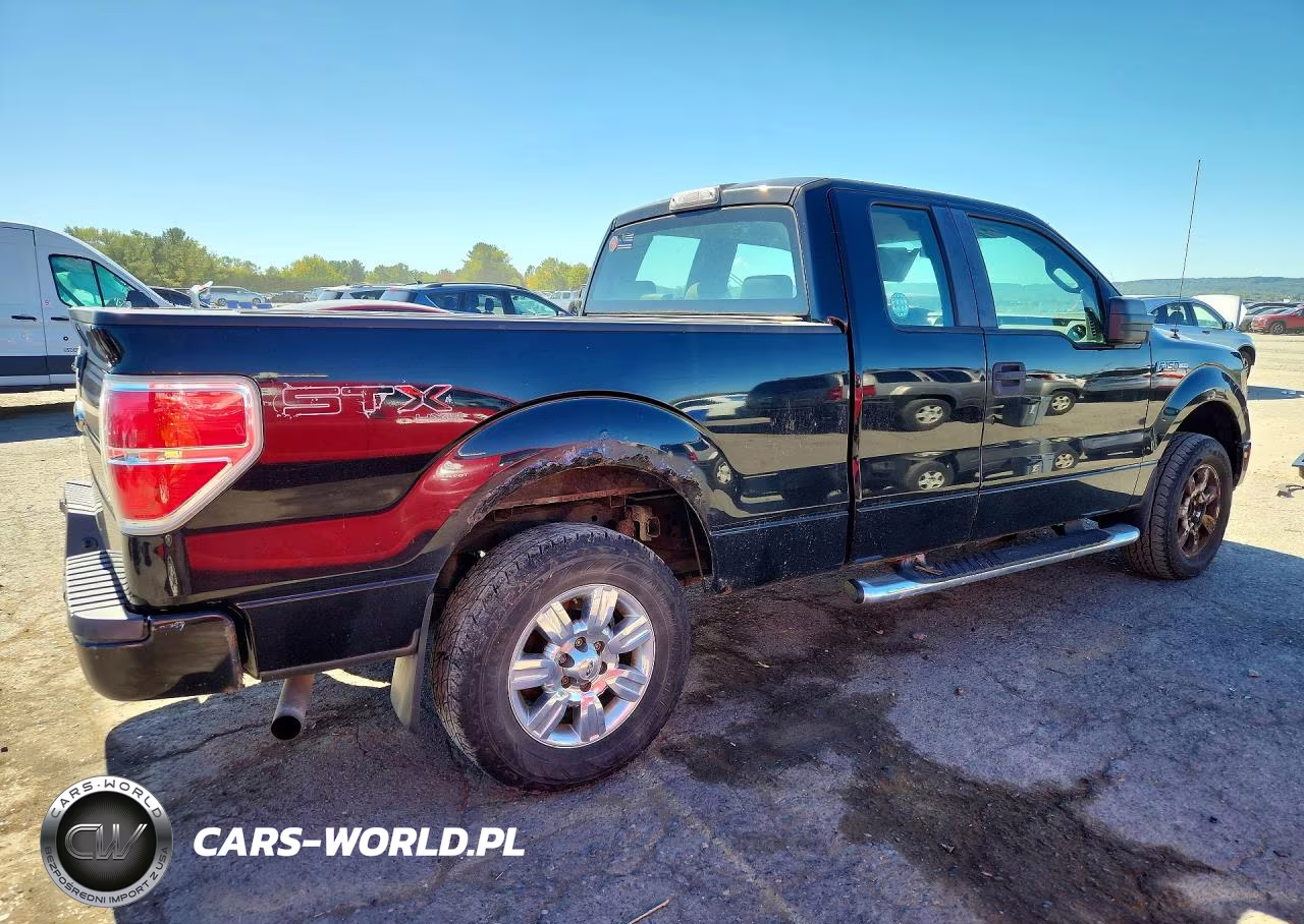 2009 Ford F150 Super Cab VIN:1FTRX14W69FA42416 - 3