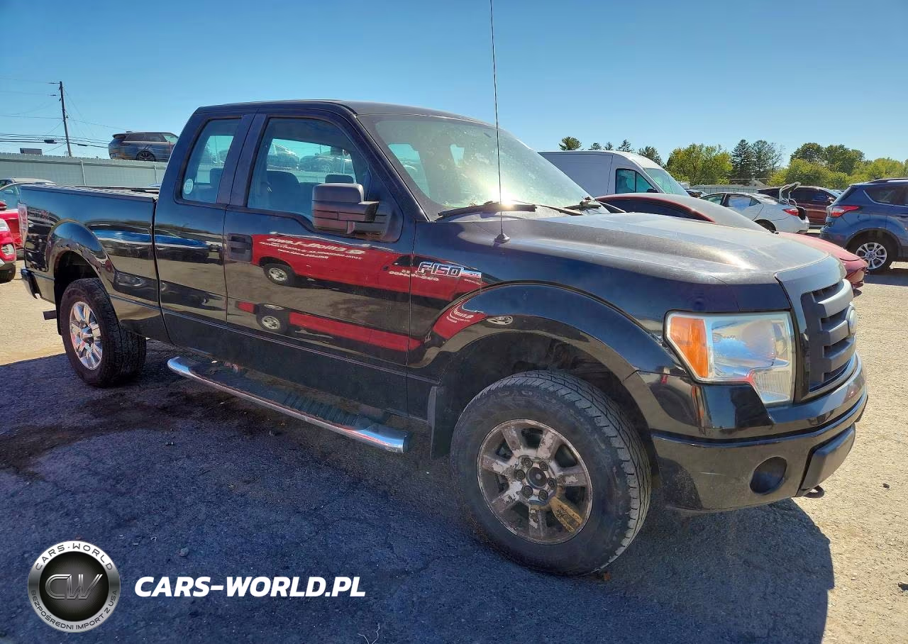 2009 Ford F150 Super Cab VIN:1FTRX14W69FA42416 - 4