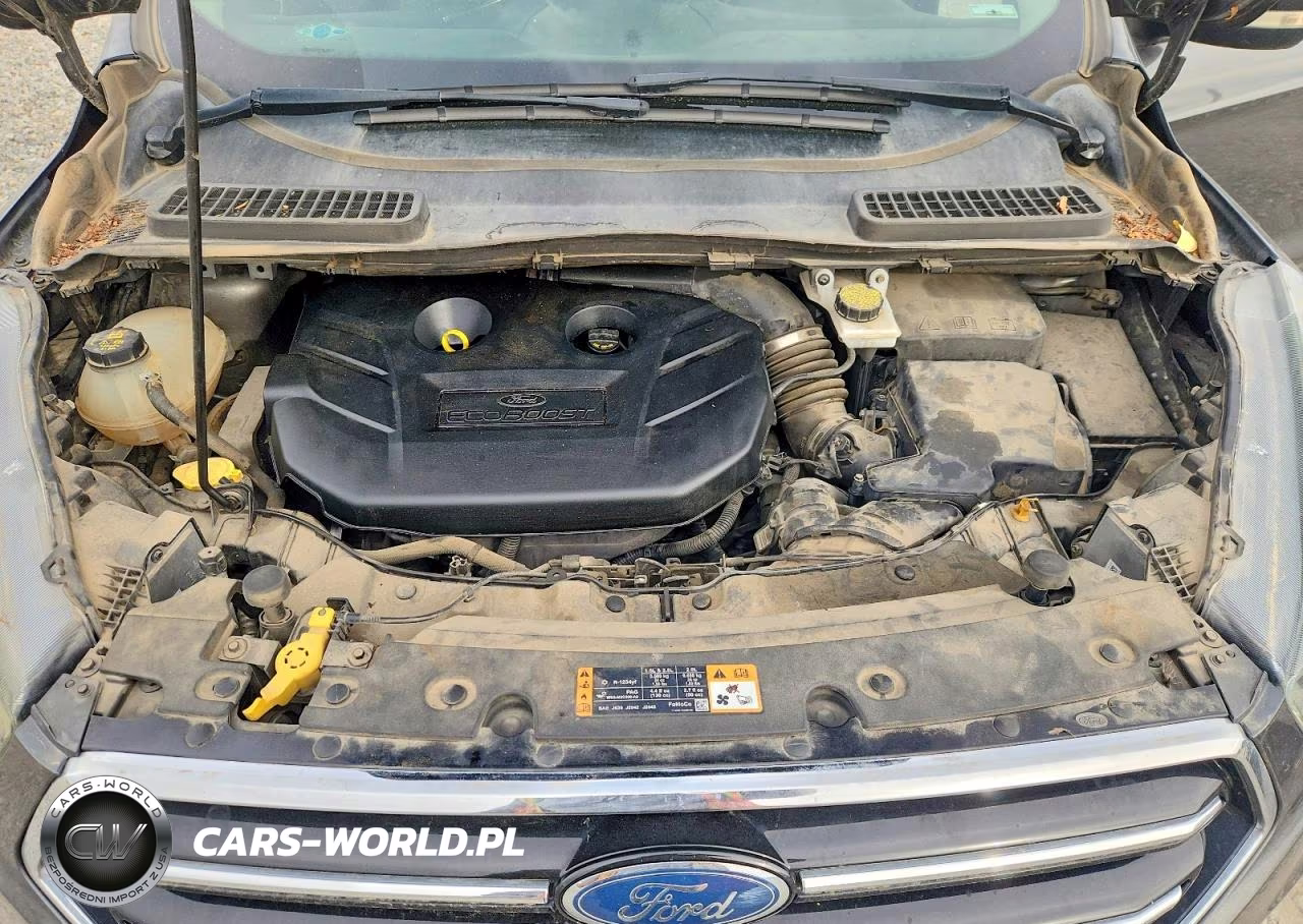 2017 Ford Escape Titanium VIN:1FMCU9J98HUC13586 - 12