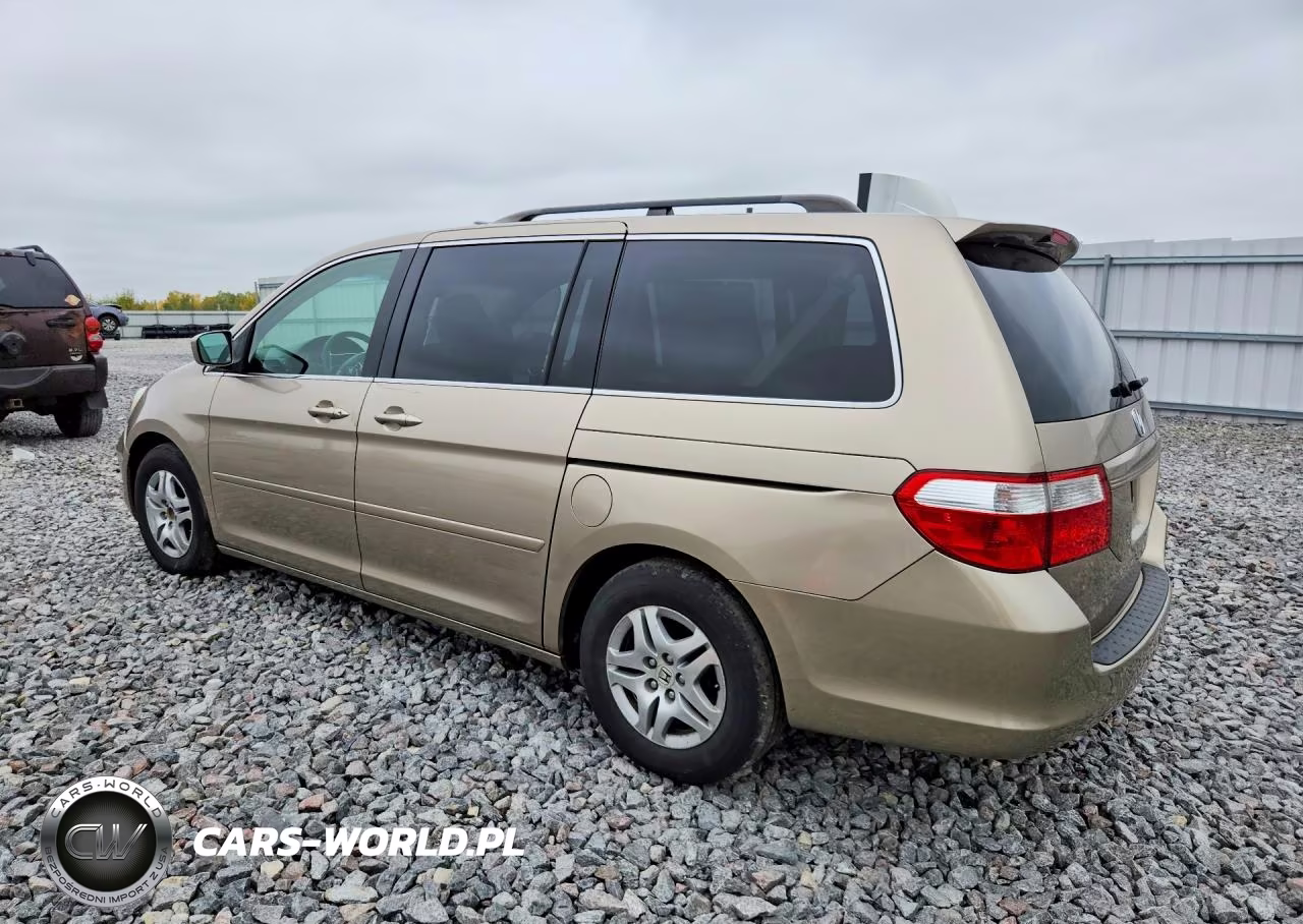 2005 Honda Odyssey VIN:5FNRL38625B420683 - 2
