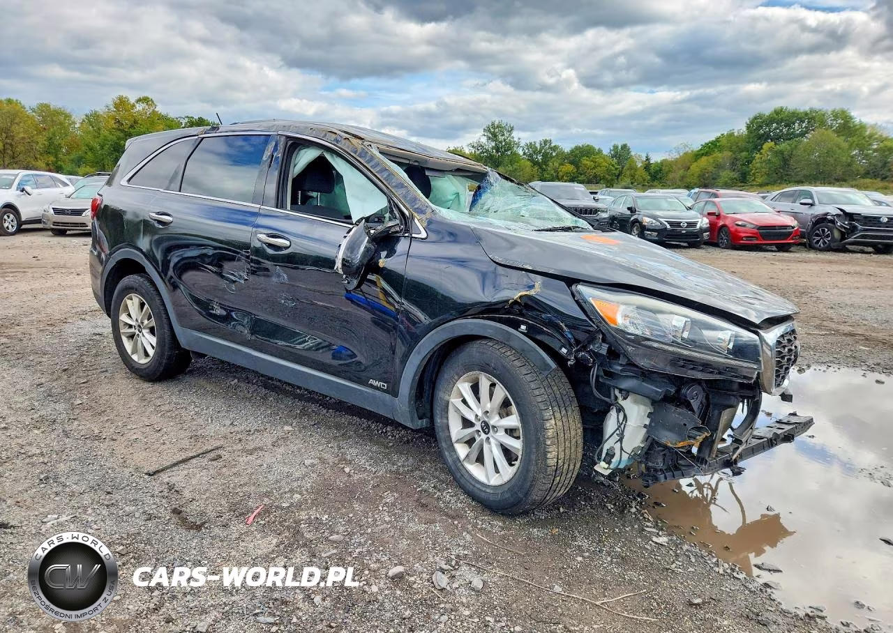 2019 Kia Sorento Lx VIN:5XYPGDA37KG552408 - 4