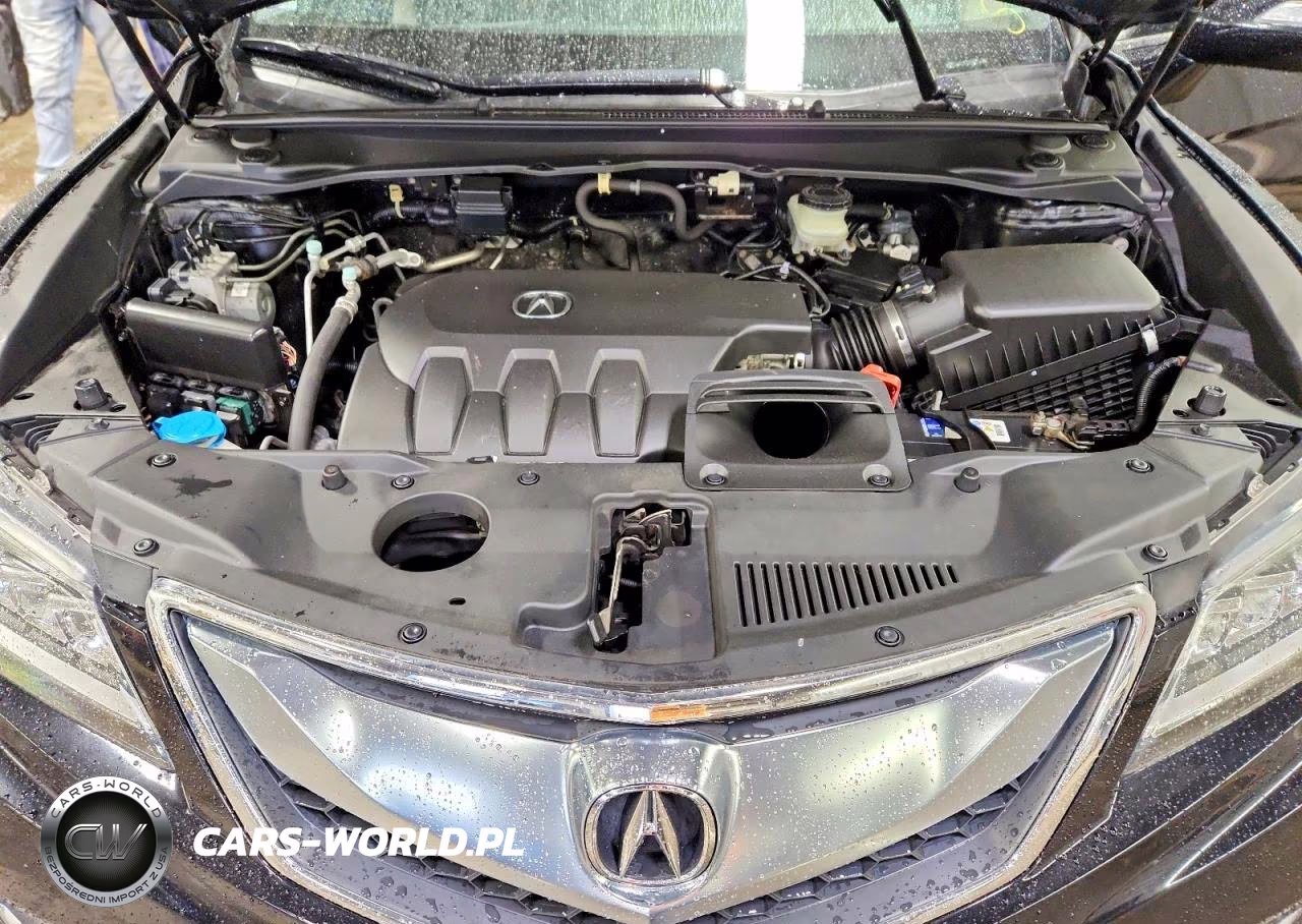 2017 Acura Rdx Advance VIN:5J8TB4H77HL033489 - 11
