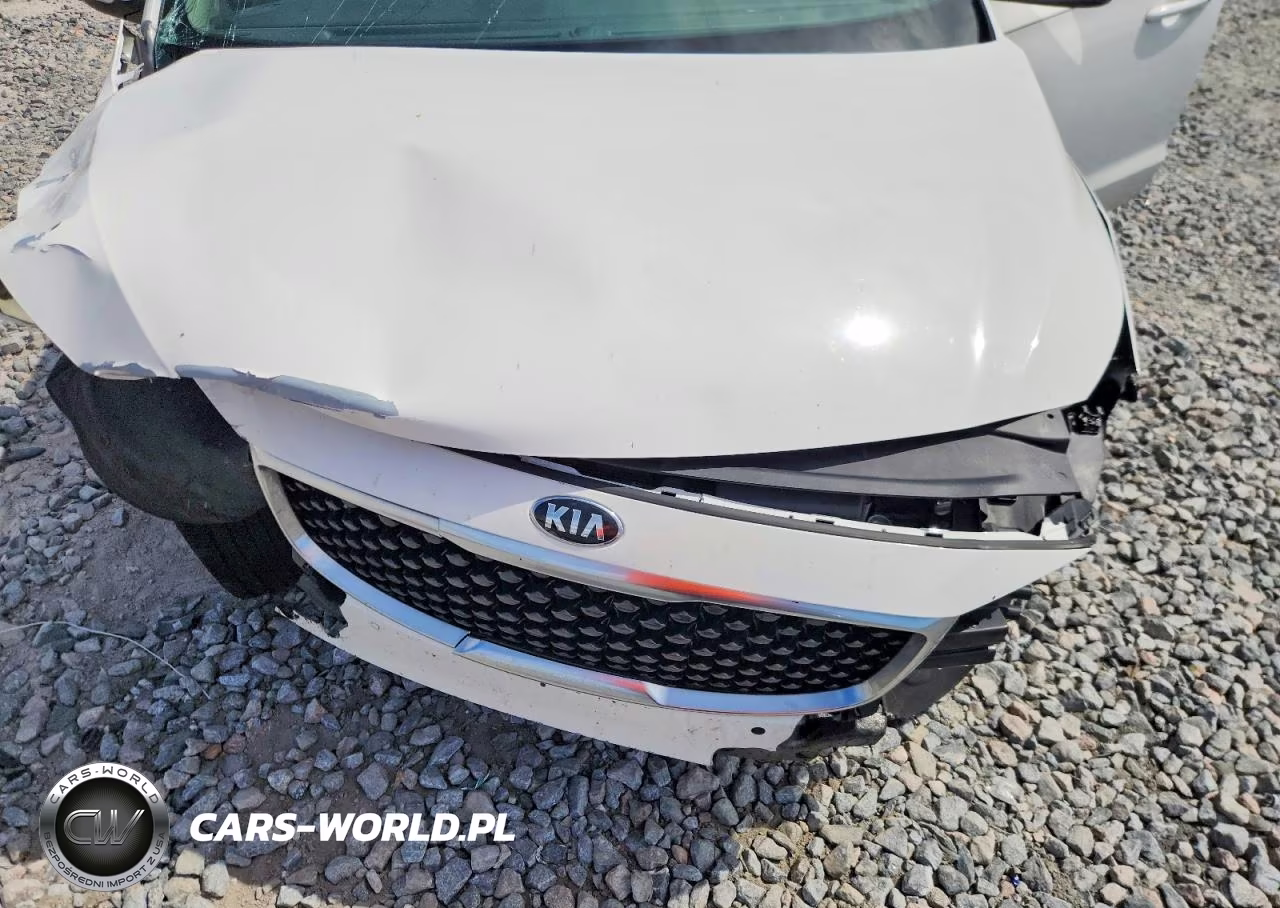 2017 Kia Sedona Lx VIN:KNDMB5C10H6328203 - 12