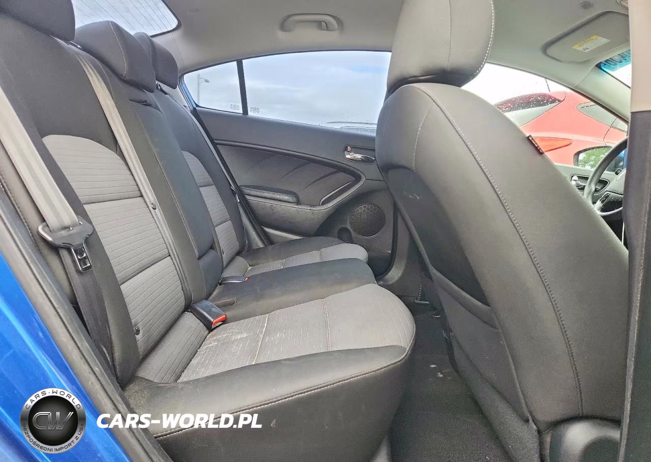 2015 Kia Forte Lx VIN:KNAFX4A64F5314064 - 10