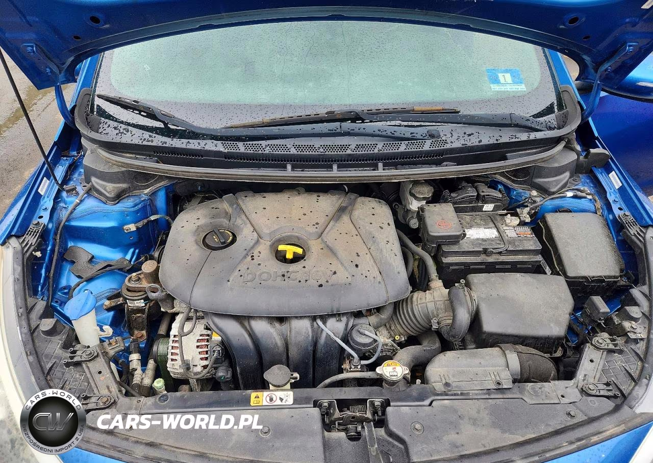 2015 Kia Forte Lx VIN:KNAFX4A64F5314064 - 11
