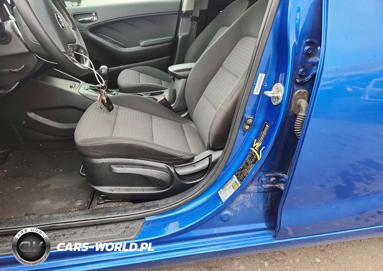 2015 Kia Forte Lx VIN:KNAFX4A64F5314064 - 12