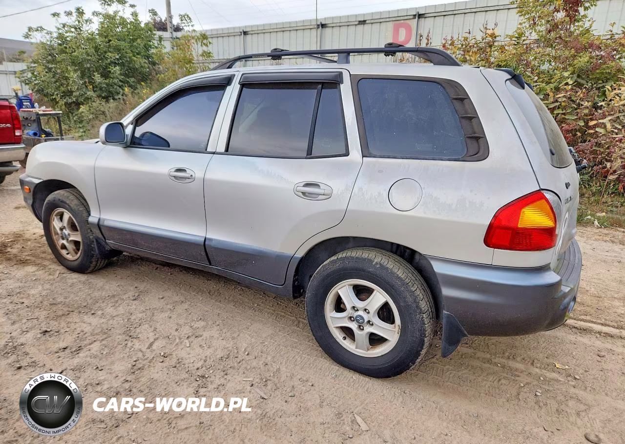 2002 Hyundai Santa Fe Base VIN:KM8SB12B32U316104 - 2