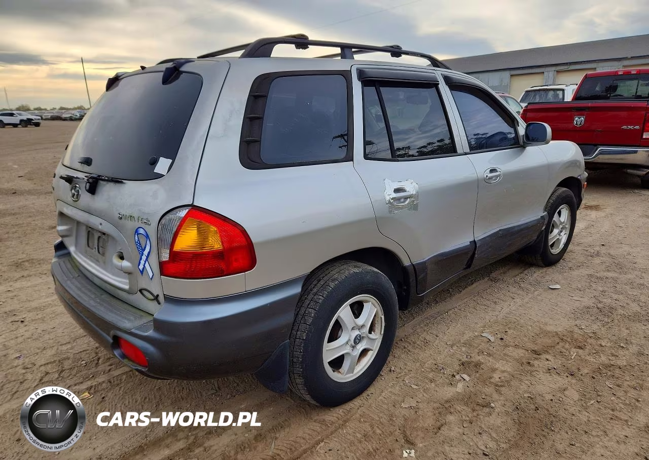 2002 Hyundai Santa Fe Base VIN:KM8SB12B32U316104 - 3