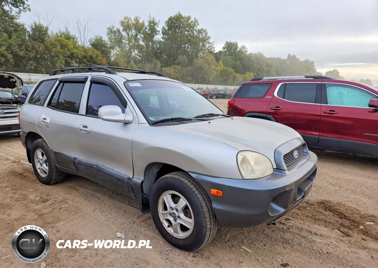 2002 Hyundai Santa Fe Base VIN:KM8SB12B32U316104 - 4