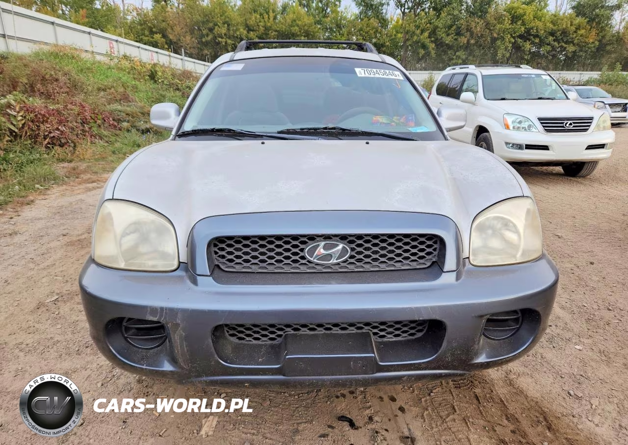 2002 Hyundai Santa Fe Base VIN:KM8SB12B32U316104 - 5