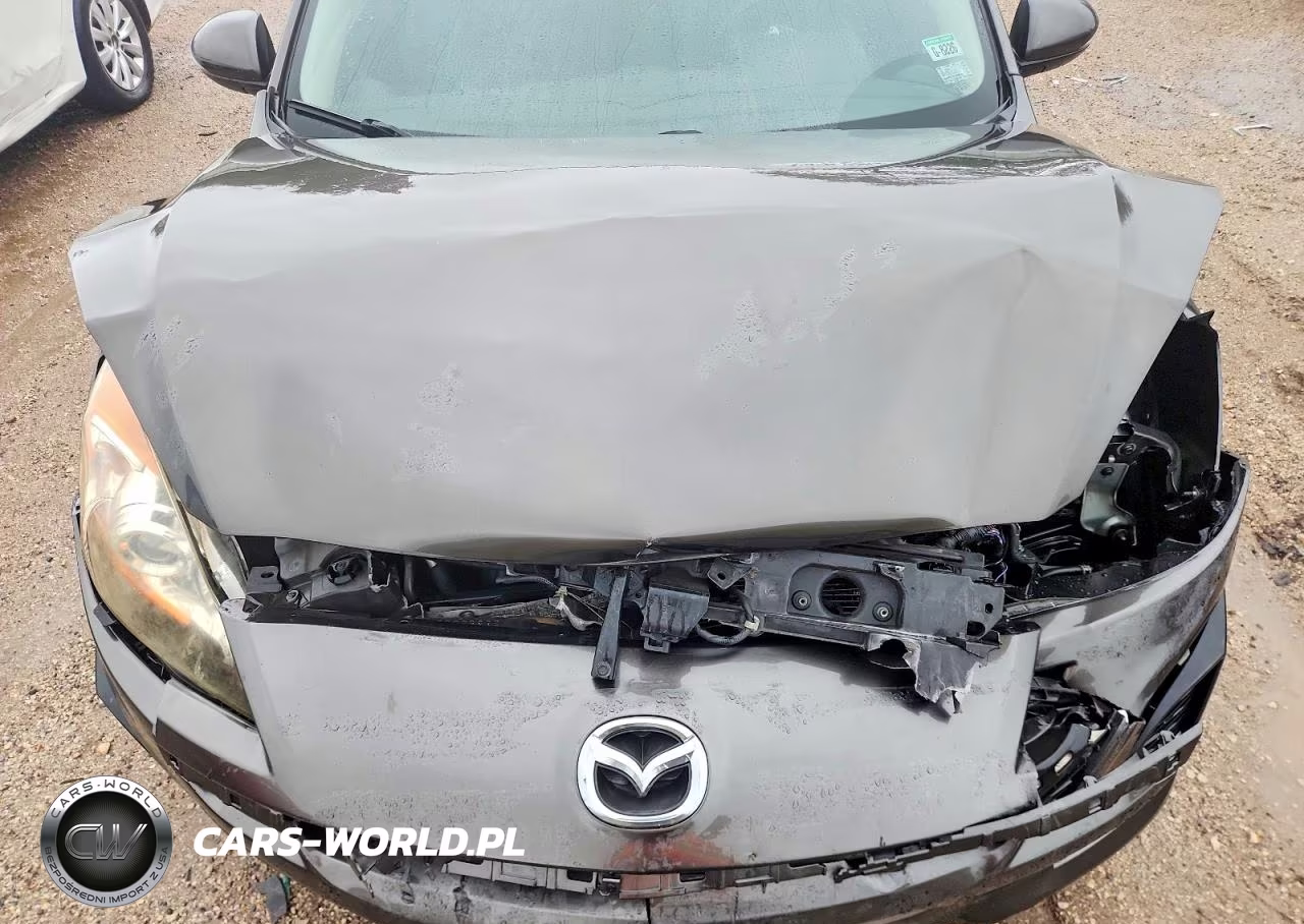 2010 Mazda 3 S VIN:JM1BL1S56A1197007 - 11