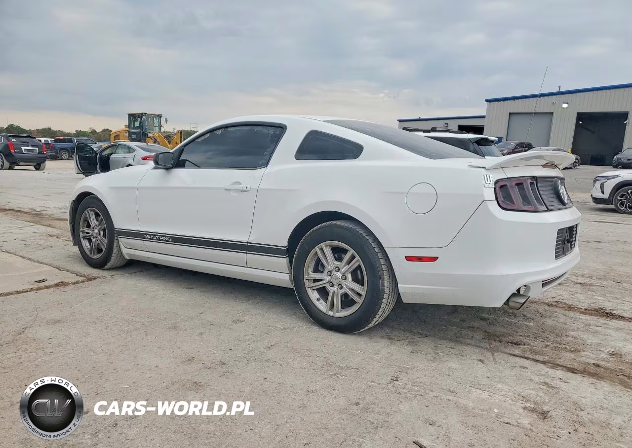 2014 Ford Mustang VIN:1ZVBP8AM6E5204605 - 2