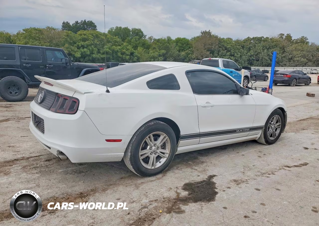 2014 Ford Mustang VIN:1ZVBP8AM6E5204605 - 3