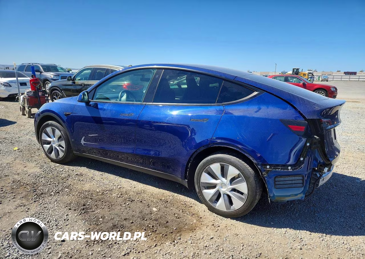 2023 Tesla Model Y VIN:7SAYGDEE2PA031322 - 2
