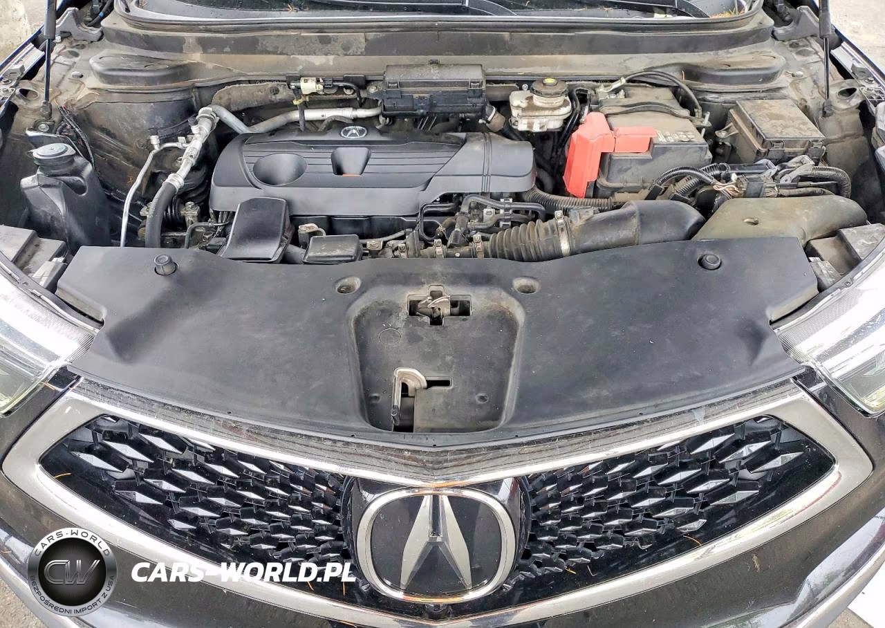 2019 Acura Rdx Advance VIN:5J8TC2H73KL021607 - 11