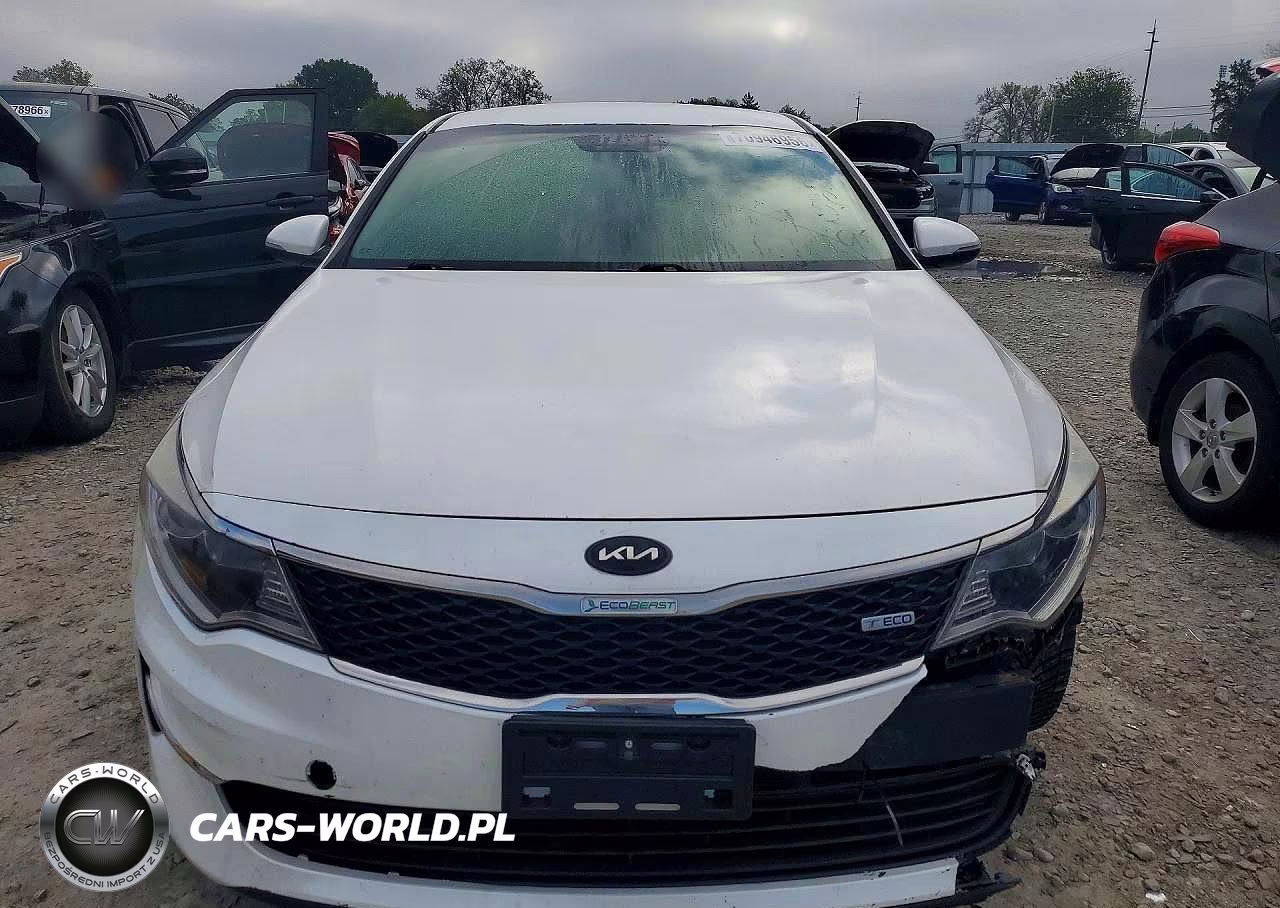 2016 Kia Optima Lx VIN:KNAGT4L38G5098529 - 5