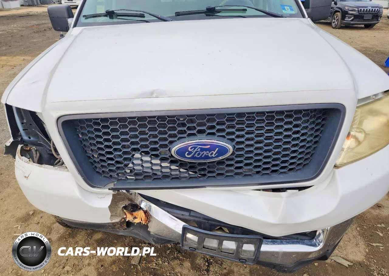 2005 Ford F150 Supercrew VIN:1FTRW12W85KF04739 - 11