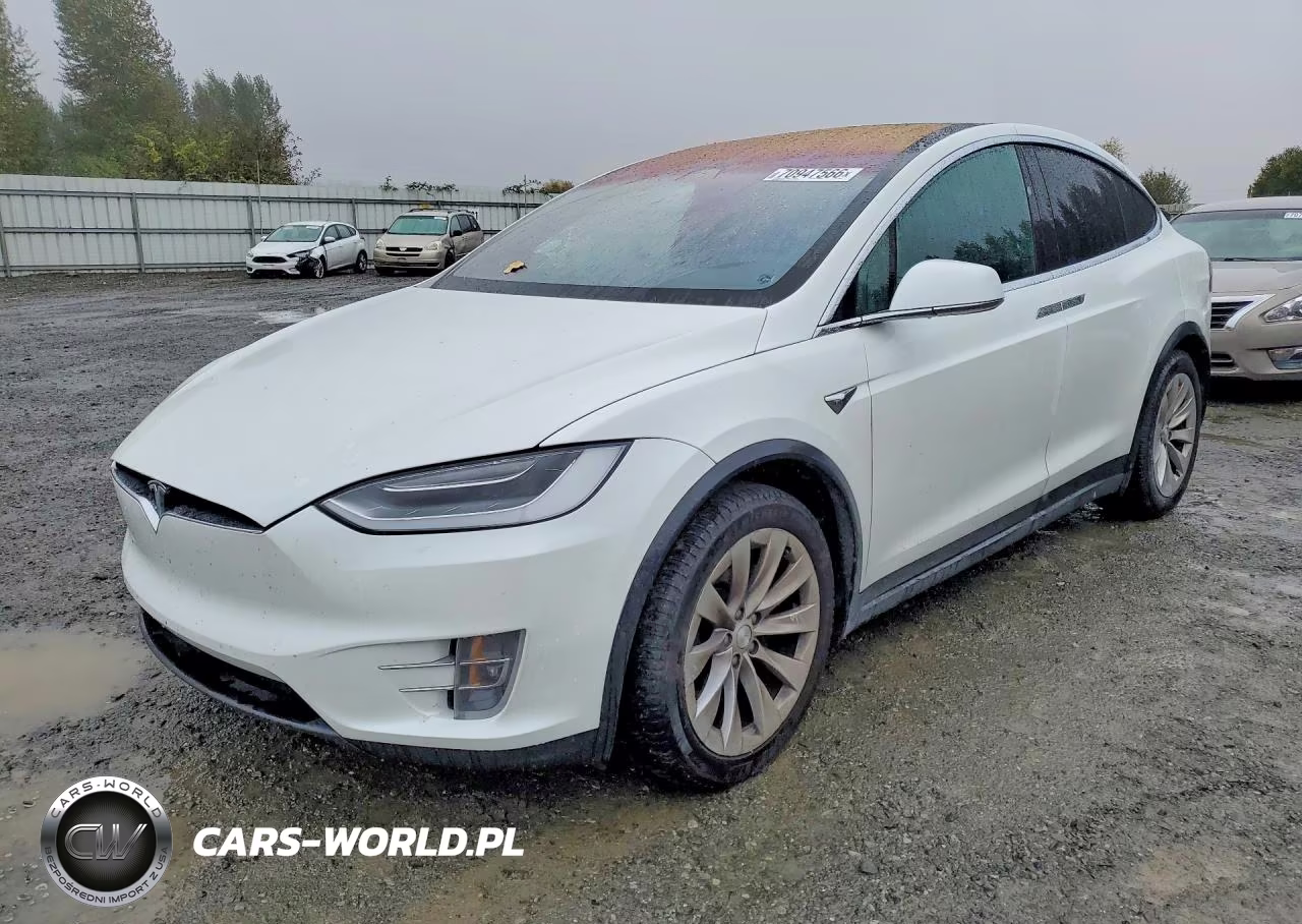 2019 Tesla Model X – zdjęcie 1 z 13
