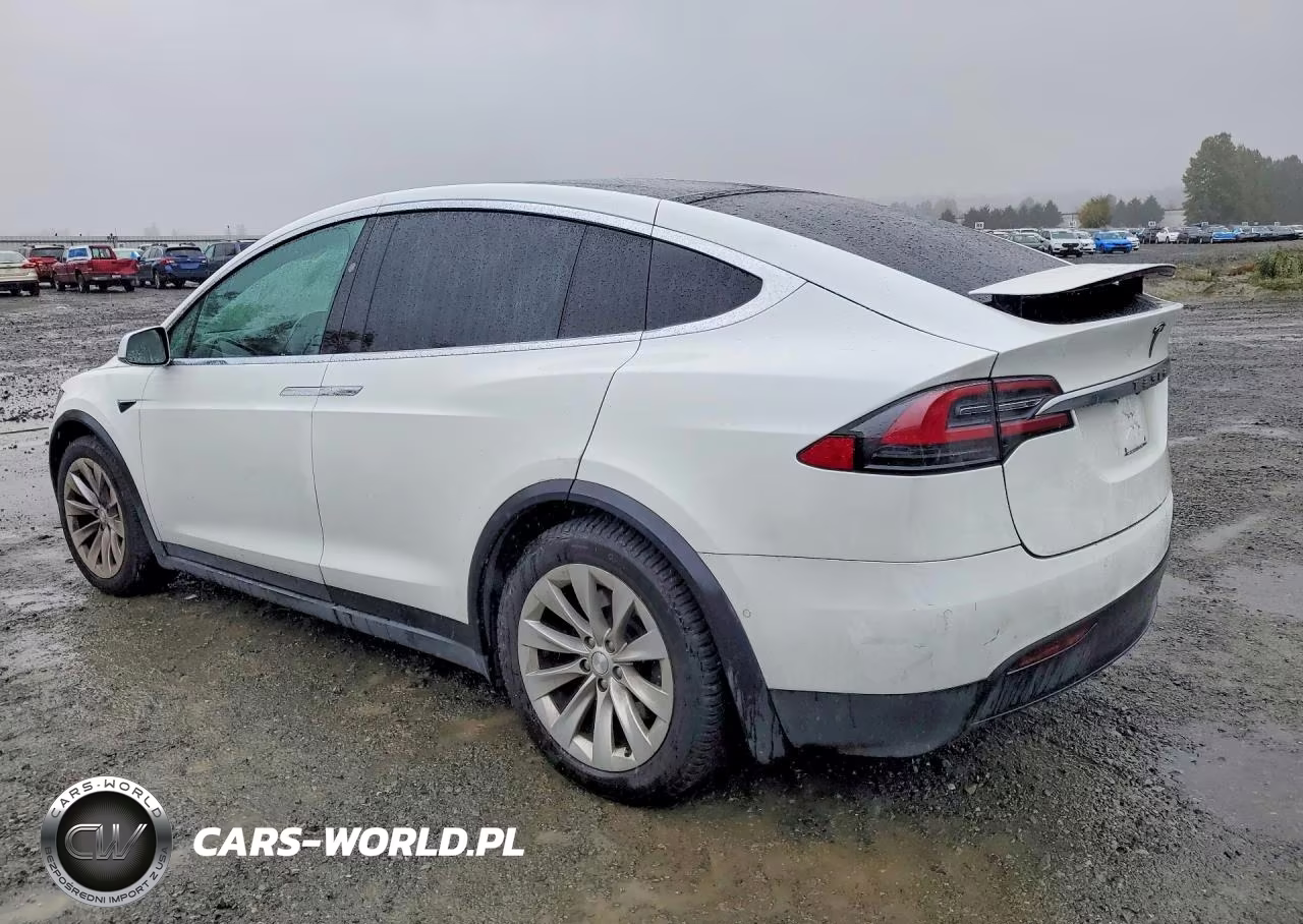 2019 Tesla Model X VIN:5YJXCDE22KF181971 - 2