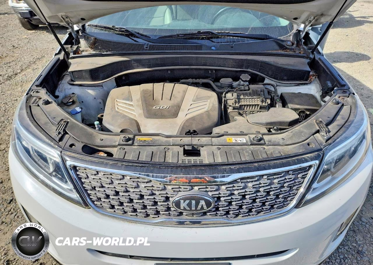 2014 Kia Sorento Sx VIN:5XYKWDA7XEG466949 - 12