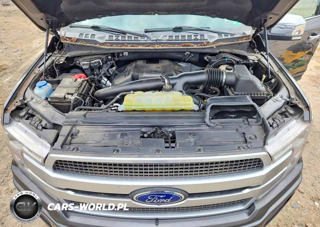 2019 Ford F150 Supercrew VIN:1FTFW1E40KFD10725 - 11