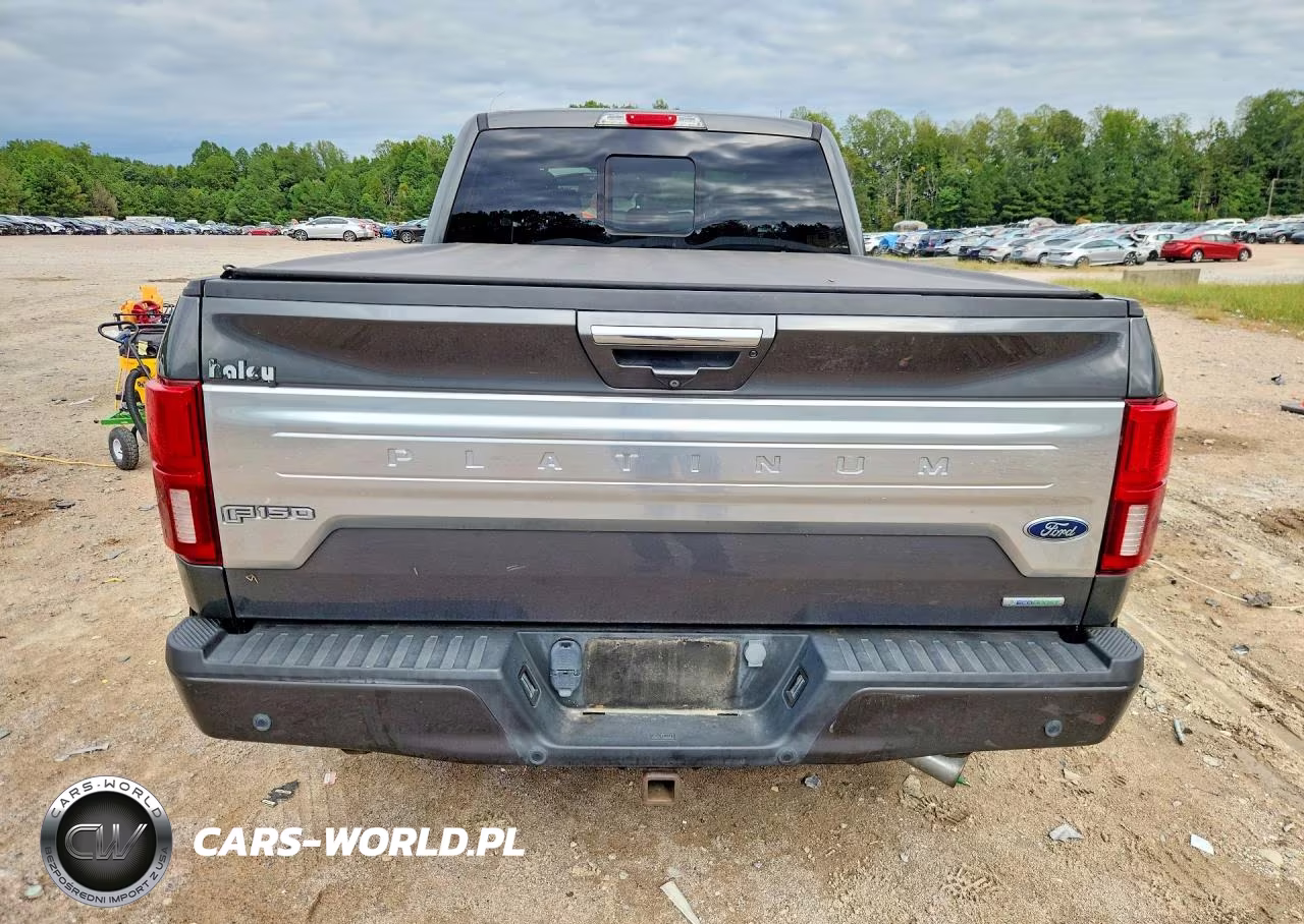 2019 Ford F150 Supercrew VIN:1FTFW1E40KFD10725 - 6