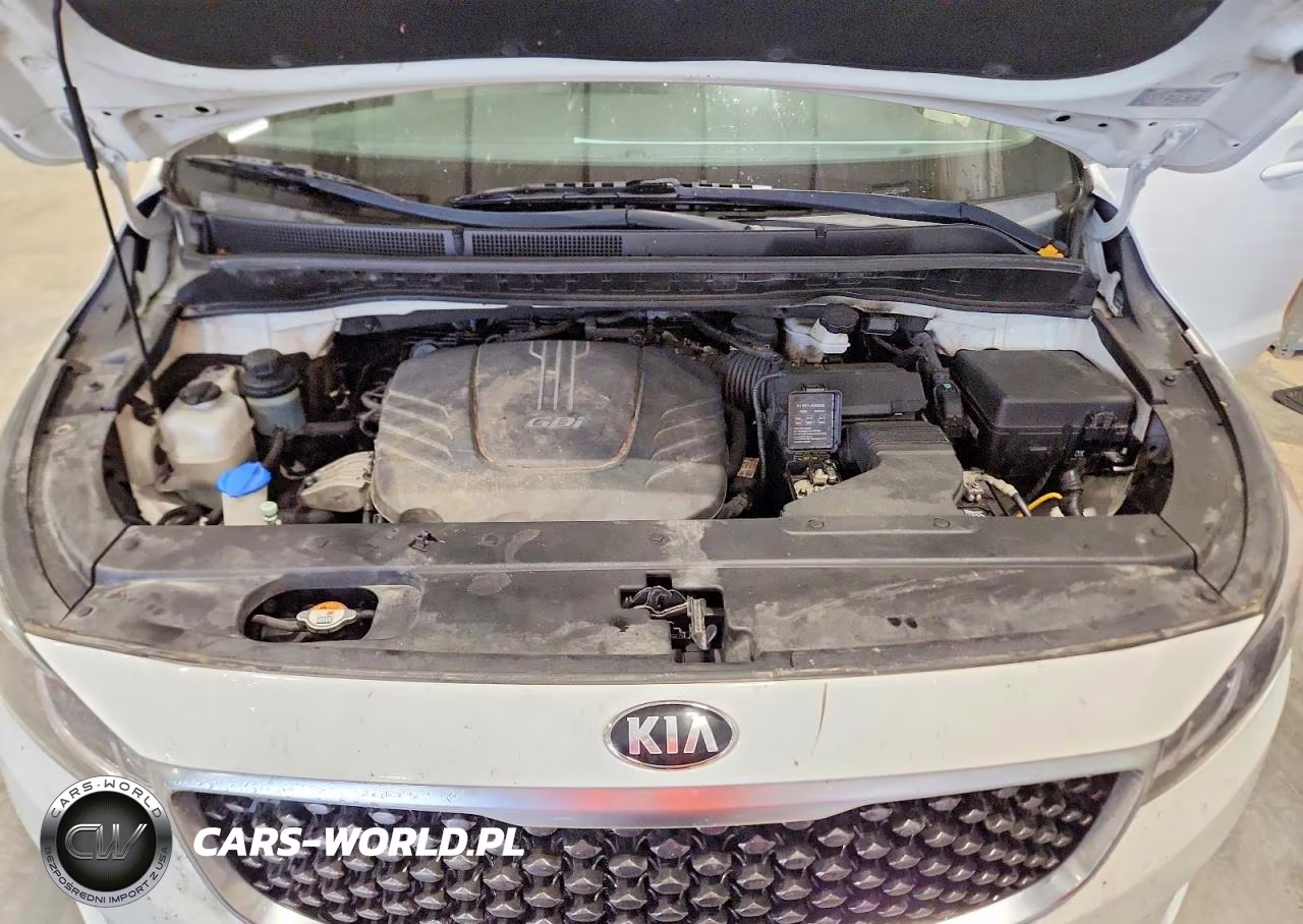 2016 Kia Sedona Lx VIN:KNDMB5C15G6203504 - 12