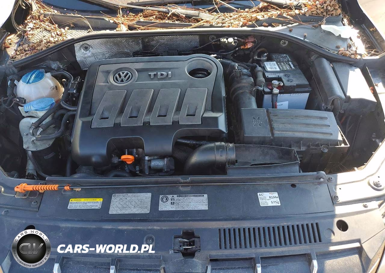 2013 Volkswagen Passat Sel VIN:1VWCN7A35DC055836 - 11