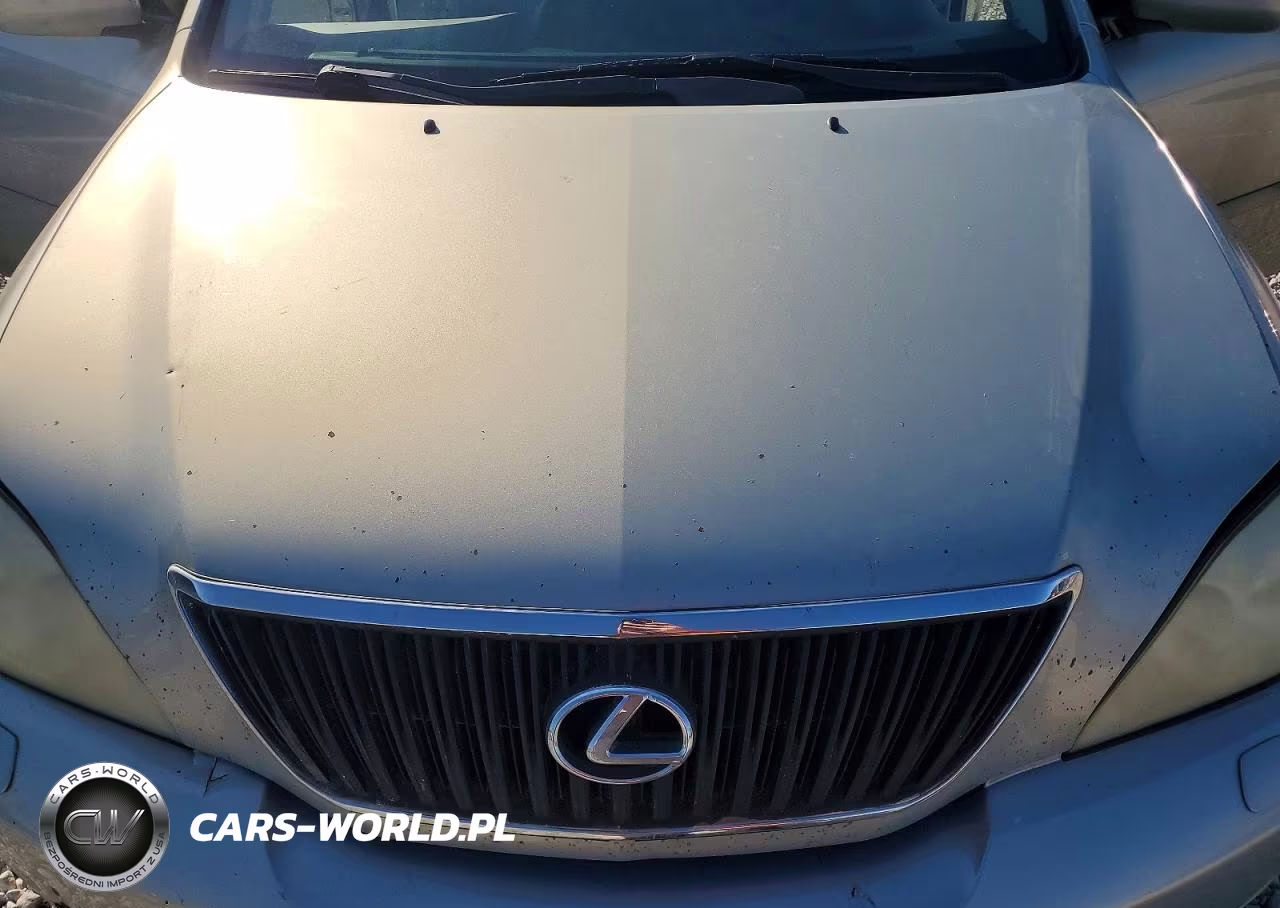 2005 Lexus Rx 330 VIN:2T2HA31U45C048354 - 12