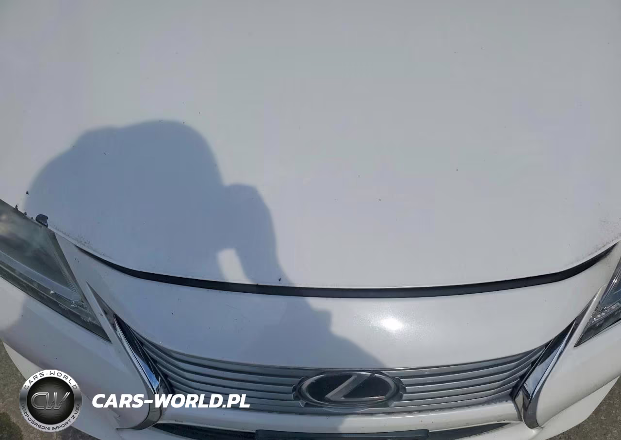 2013 Lexus Es 350 VIN:JTHBK1GG8D2004124 - 11