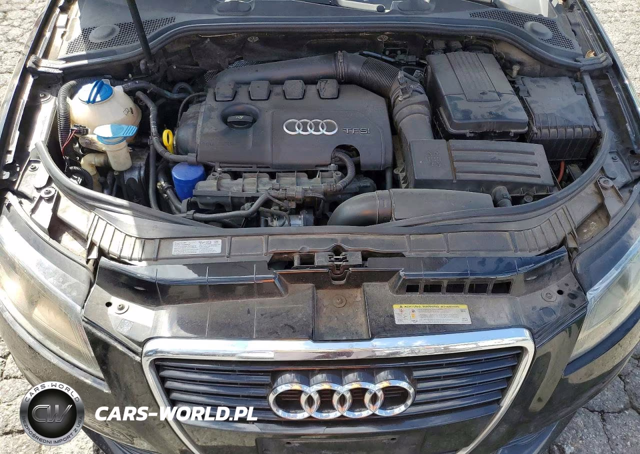 2012 Audi A3 Premium Plus VIN:WAUKEAFM3CA035041 - 11