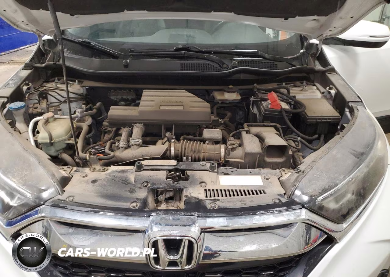 2019 Honda Cr-V Exl VIN:7FARW2H84KE045978 - 12